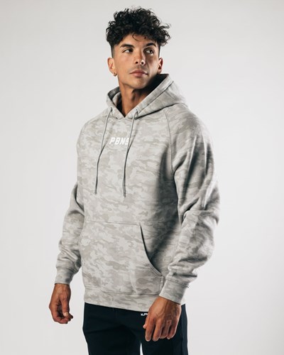 Silver Summit Alphalete Fitted Performance Hoodie | 91067-TRXI