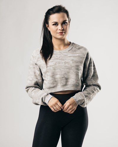 Silver Summit Alphalete Oversized Fleece Cropped Sweater | 98410-DMNA