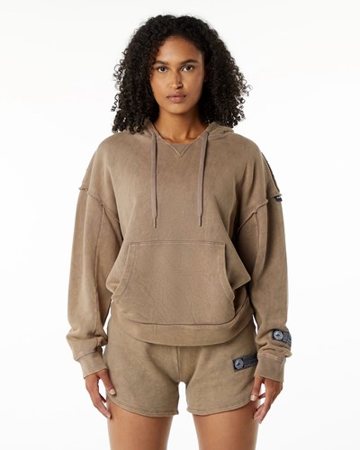 Smokey Quartz Alphalete Heavyweight Washed Terry Hoodie | 05814-KDVW