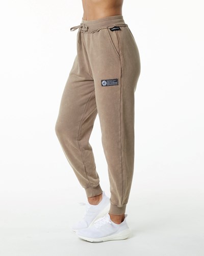 Smokey Quartz Alphalete Heavyweight Washed Terry Jogger | 16705-UFNM