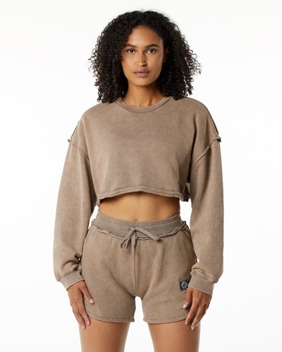 Smokey Quartz Alphalete Heavyweight Washed Terry Crop Pullover | 56147-OQTL