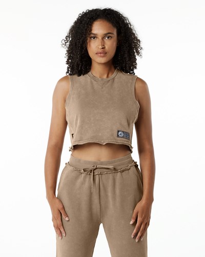 Smokey Quartz Alphalete Mid-Weight Washed Terry Crop Cutoff | 35710-LJPK