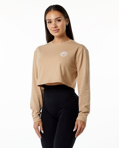Taupe Alphalete Oversized Performance Long Sleeve Crop | 19473-UKTB