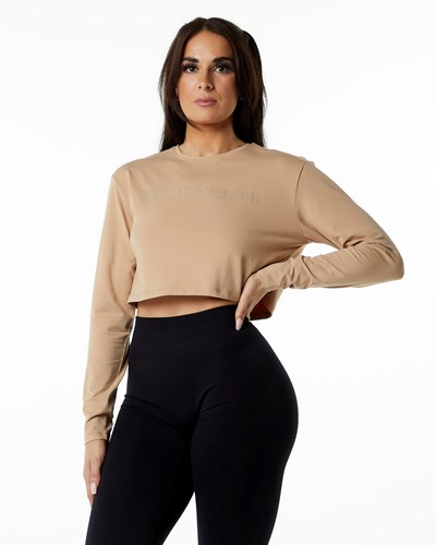 Taupe Alphalete Oversized Performance Long Sleeve Crop | 36410-ERYG