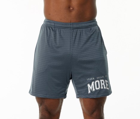 Whale Blue Alphalete Luxury Lined 4-Way Stretch Mesh Short | 78394-LFUW
